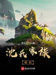 沈氏家族崛起纵横二部