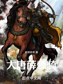 大唐薛骠骑顶点