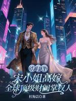 宋小姐闹离婚电视剧