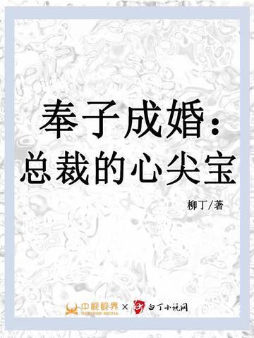 总裁奉子成婚很威武