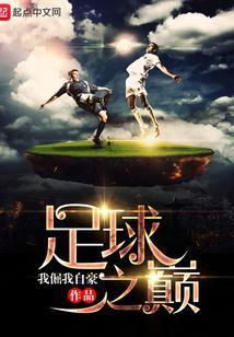 重生足球之巅TXT