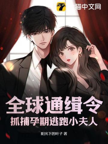 全球通缉逃妻免费阅读