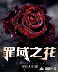 罪域欲恶之花攻略