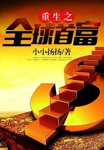 重生之全球首富江小白