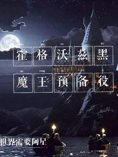 霍格沃茨之黑魔王传奇