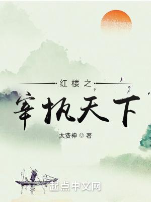 红楼之宰执天下全文免费阅读