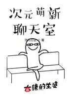 次元聊天软件是啥