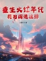重生火红年代我为国造核弹
