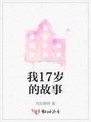 十七岁的故事