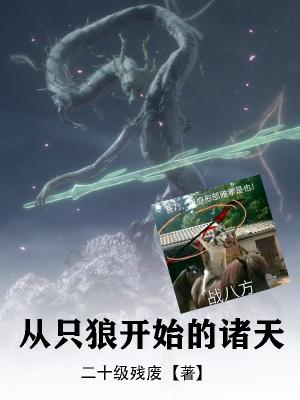 从只狼开始穿越