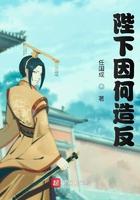 陛下因何谋反 起点