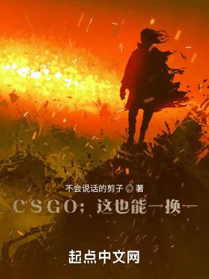csgo游戏中能换枪吗