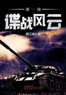 那一场谍战风云讲的什么故事