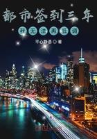 都市之签到三年