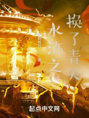 水浒之换了青天无防盗