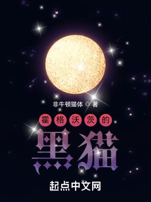 霍格沃茨黑猫主任那个女教授