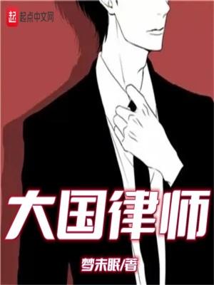 大国律师公平梦