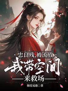 我带空间来救场简介