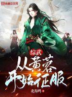 综武从黄蓉开始征服女主有几个