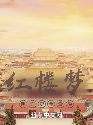 红楼梦明亡史全索隐如此修史