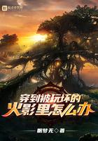 穿越火影坏了的娃