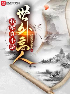 我爹不是我爹综武侠