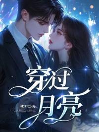 穿过月亮的旅行