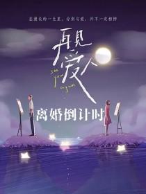 再见爱人离婚综艺