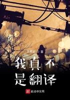 我真不是翻译女主