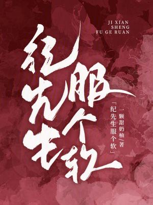 纪先生的有好几部的