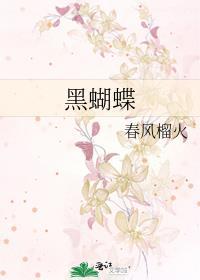 黑蝴蝶电视剧刘敏涛