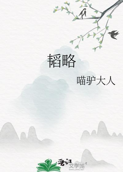 韬略科技有限公司