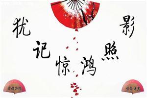 犹记惊鸿照影全文免费阅读