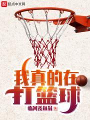 我真的在打篮球笔趣阁