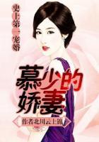 史上第一婚宠慕少宠