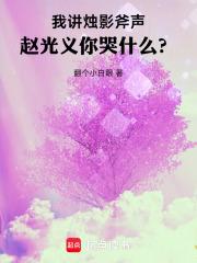 赵光义烛光斧影