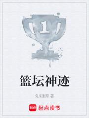 篮坛神迹阅读