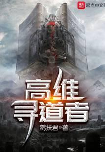 高维寻道者故事梗概