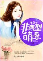 非典型宠爱免费阅读