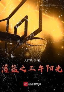 灌篮之正午阳光TXT