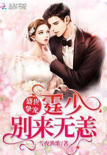 盛世婚宠沈霆琛和白偌伊