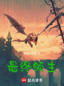 最终领主免费阅读