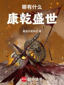 哪有什么康乾盛世TXT