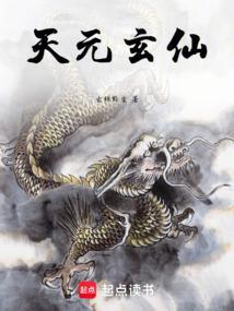 玄元剑仙天元丹