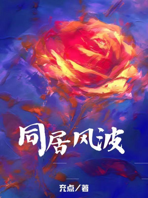 同居风云剧情