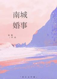 南城婚事讲了什么