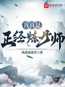 我真是正经炼丹师好看吗