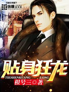 贴身狂龙左妻右妾