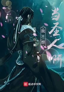 我不想当圣师百科