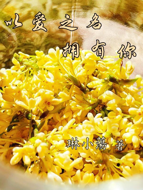 以爱之名是哪首歌的歌词